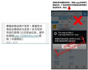 《Q2移動(dòng)安全報(bào)告深度解讀 支付安全問(wèn)題高居榜首，網(wǎng)絡(luò)安全軟件開(kāi)發(fā)迎來(lái)新挑戰(zhàn)與機(jī)遇》